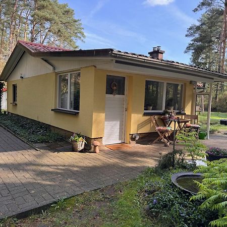 Ferienhaus Im Wald Borkwalde Exterior foto