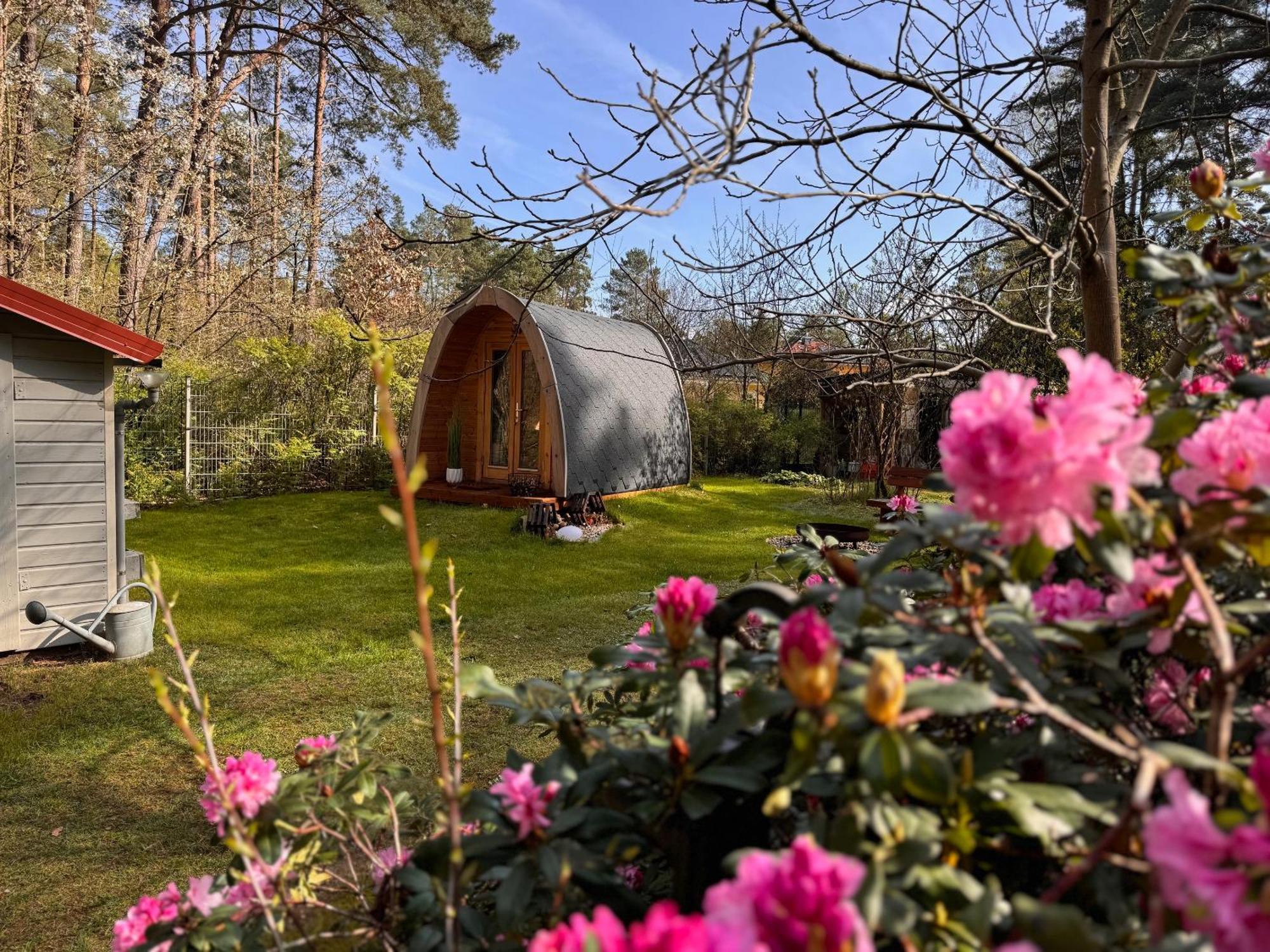 Ferienhaus Im Wald Borkwalde Exterior foto